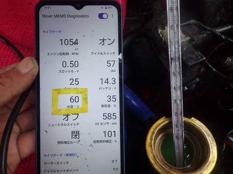 KIKU7064