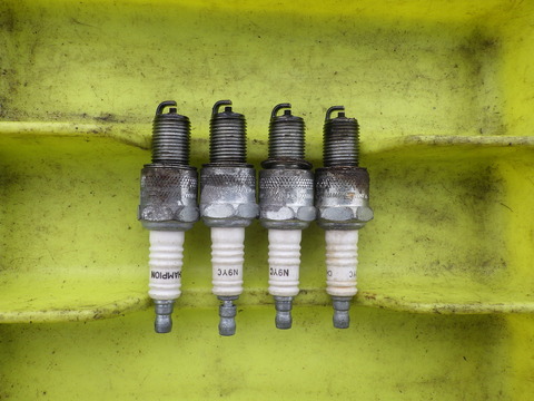 KIKU5062