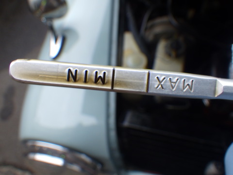 MNK_3164