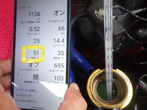 KIKU7061