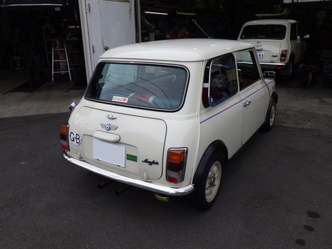 AZM_9391