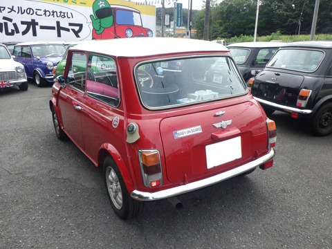 KAJI5266