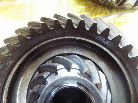 DSCF6137