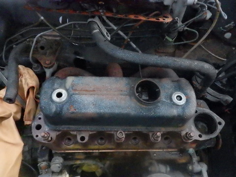 KIKU5135