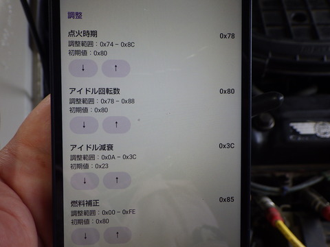 ISK_6865