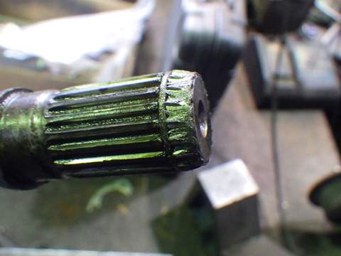 KUBO2598