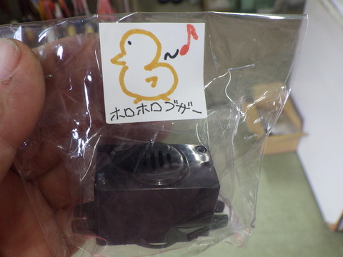 ISK_7268