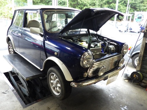 TERU9619