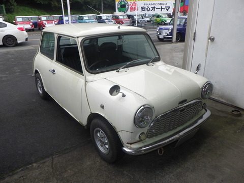 KAJI6080