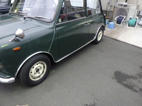 KAJI5194