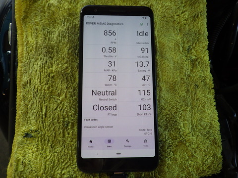 KIKU9974