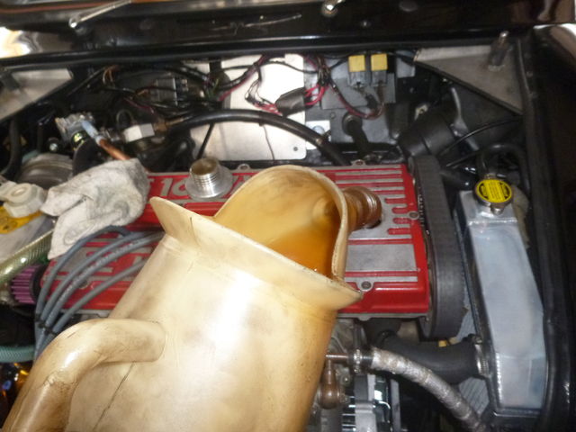 Ht様 オイル交換で初キャメルです Kadは奥様のmini スタッフブログ ローバーミニ専門店キャメルオート