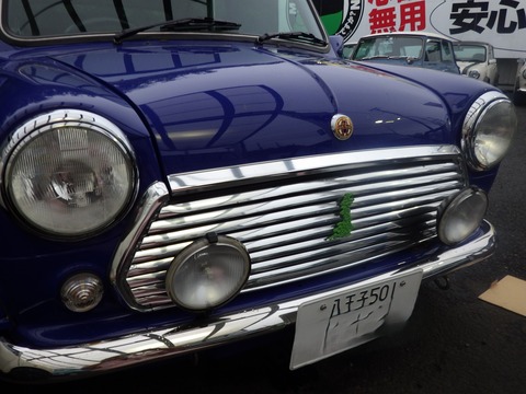 TERU8237