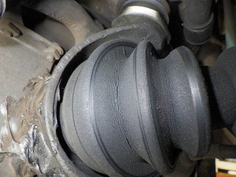 KAJI2689