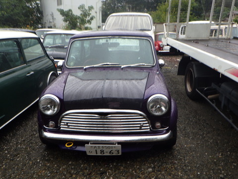 SQOR6131