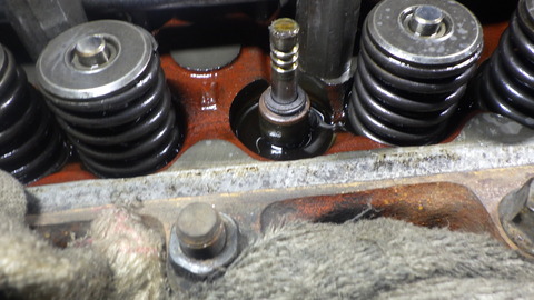 KUBO8650