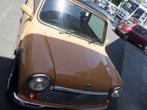 KAJI3529