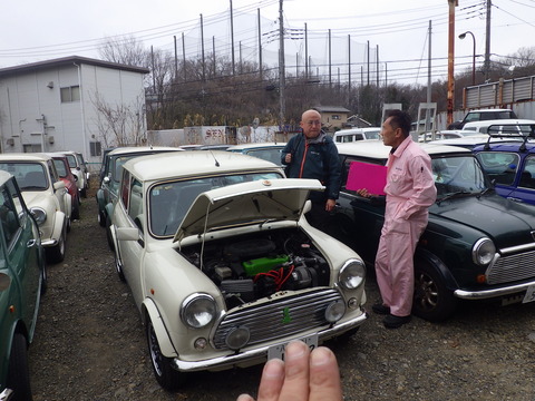 KIKU9248