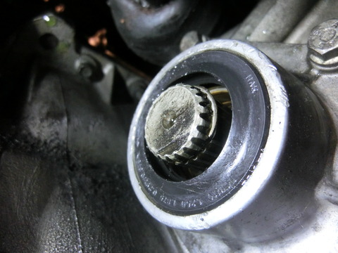 CIMG6081