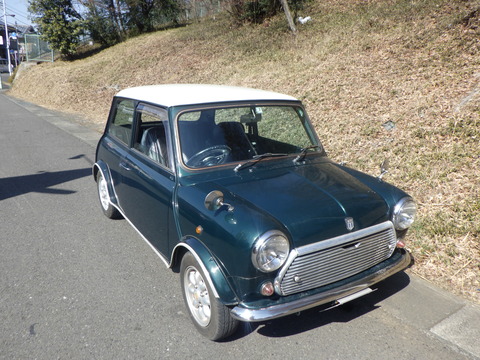 KAJI1661