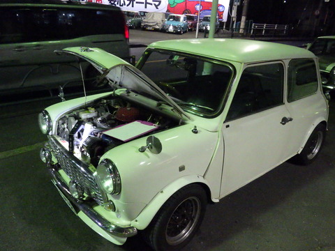 KIKU4270