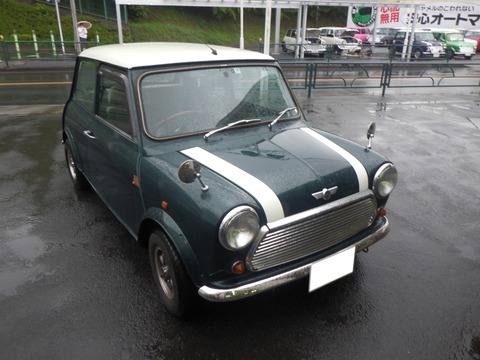 KAJI2596