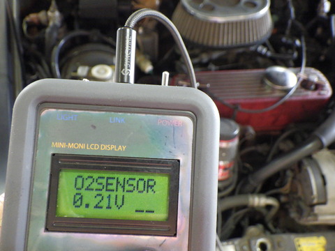 KAJI6705