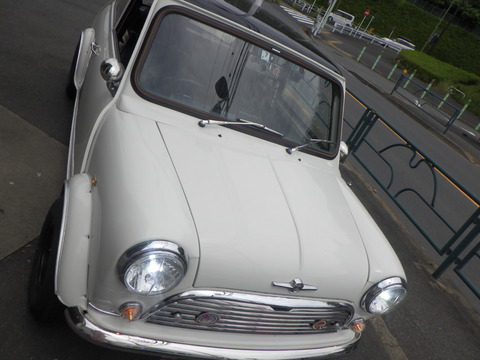 KAJI3351
