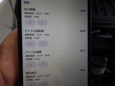 ISK_6698