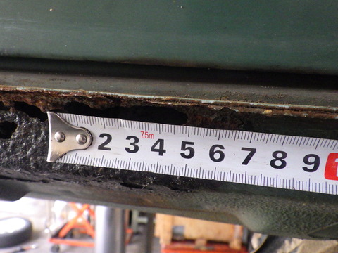 KIKU3151
