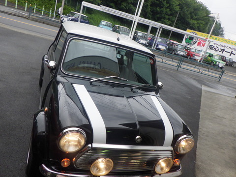 KAJI3648
