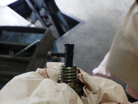 KAJI2135