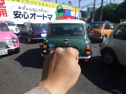 AZM_4974