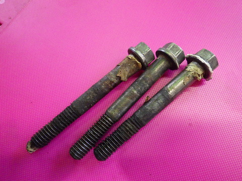 KIKU0960