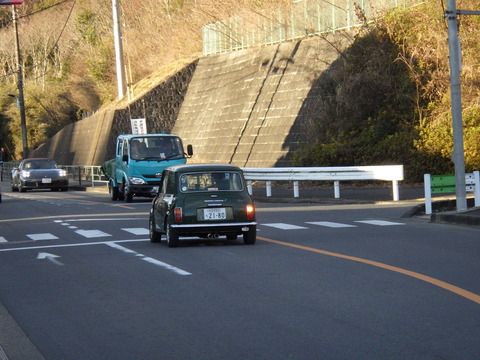 KIKU4382