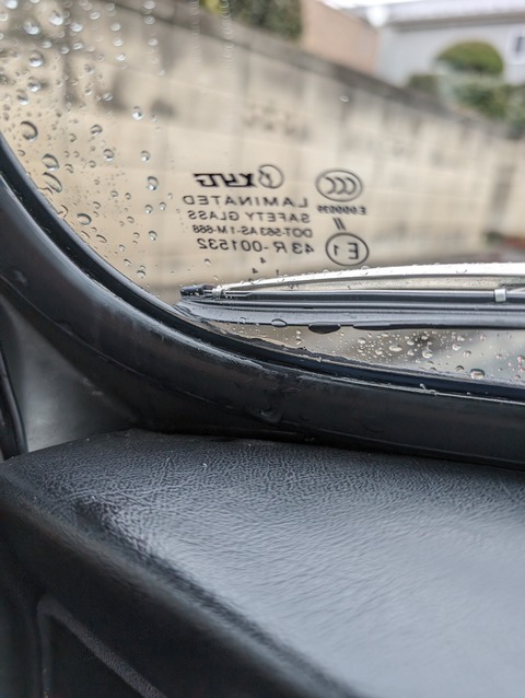 PXL_20240225_065037215