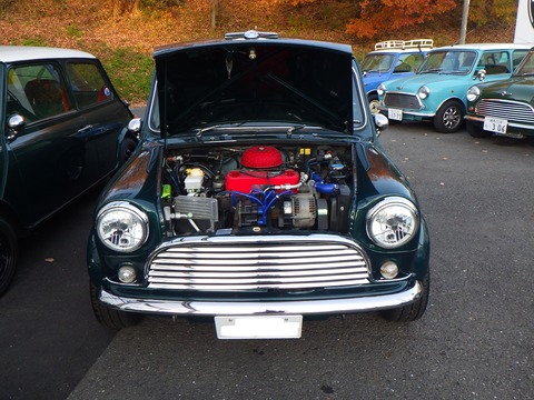 TJR_3355