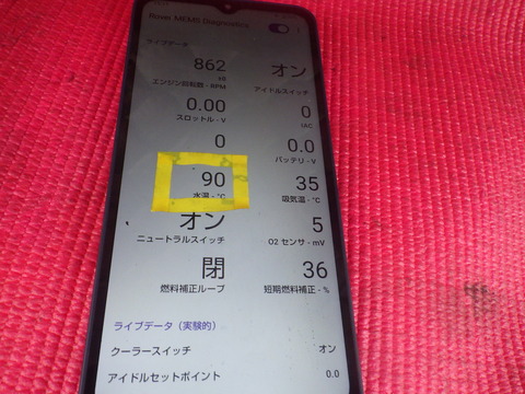 KIKU7089