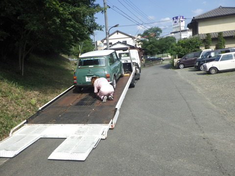 AZM_3323