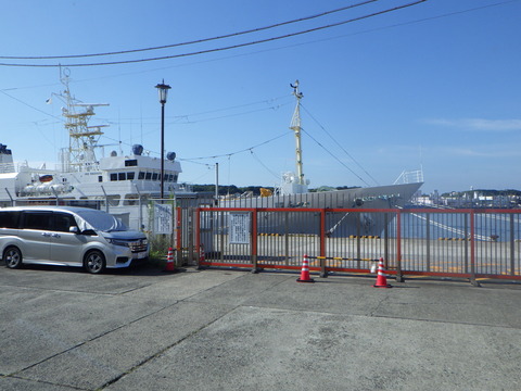 SQOR7443