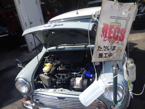 KIKU0640