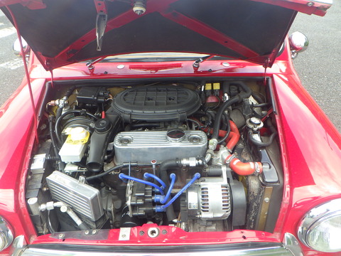 SQOR9146
