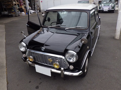 AZM_8491
