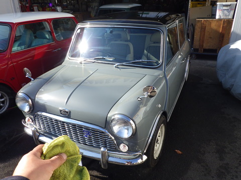 KIKU6460
