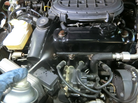 CIMG7338
