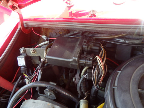 KAJI4504
