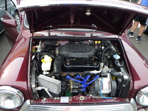 SQOR0247