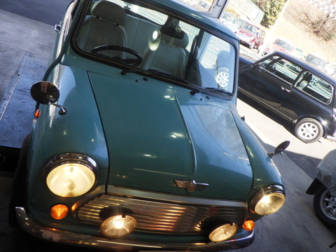 KAJI1050
