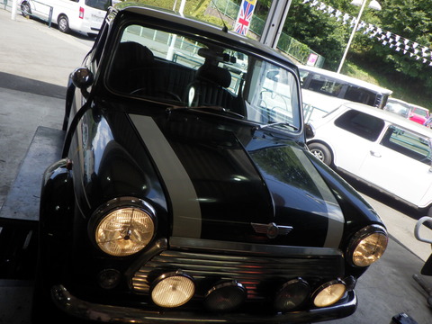 KAJI3171