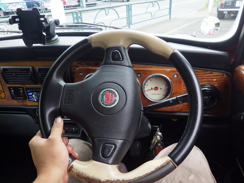 AZM_8966
